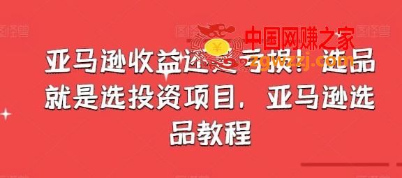 亚马逊收益还是亏损！选品就是选投资项目，亚马逊选品教程