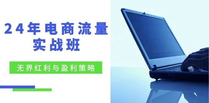 （12168期）24年电商流量实战班：** 红利与盈利策略，终极提升/关键词优化/精准&amp;#8230;,（12168期）24年电商流量实战班：** 红利与盈利策略，终极提升/关键词优化/精准…,不会,精准,关键词,第1张