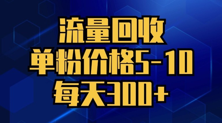 流量回收，单粉价格5-10，每天300+，轻松月入五位数