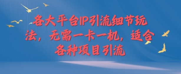 各大平台IP引流细节玩法，无需一卡一机，适合各种项目引流,各大平台IP引流细节玩法，无需一卡一机，适合各种项目引流,项目,引流,第1张