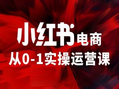 小红书电商从0-1实操运营课，让你从小白到精英,小红书电商从0-1实操运营课，让你从小白到精英,如何,直播,小红,第1张