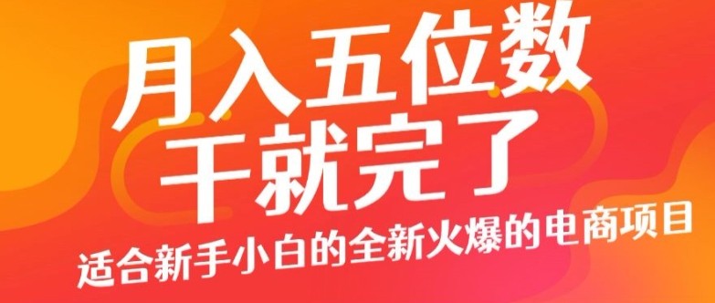 月入五位数，干就完了， 适合新手小白的全新火爆的电商项目