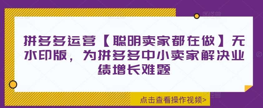 拼多多运营【聪明卖家都在做】无水印版，为拼多多中小卖家解决业绩增长难题,拼多多运营【聪明卖家都在做】无水印版，为拼多多中小卖家解决业绩增长难题,多多,如何,卖家,第1张