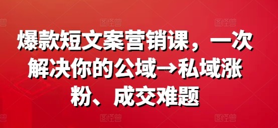 爆款短文案营销课，一次解决你的公域→私域涨粉、成交难题,爆款短文案营销课，一次解决你的公域→私域涨粉、成交难题,文案,视频,爆款,第1张