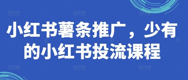 小红书薯条推广，少有的小红书投流课程