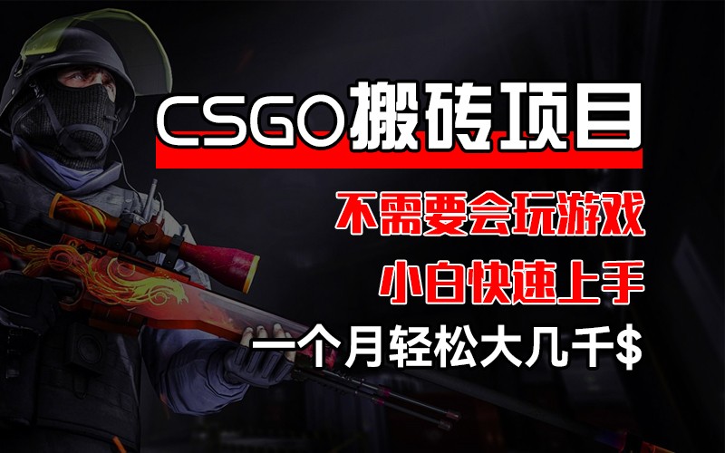 （12332期）CSGO 装备搬砖项目，操作简单，不需要会玩游戏，小白也能快速上手，一&amp;#8230;,（12332期）CSGO 装备搬砖项目，操作简单，不需要会玩游戏，小白也能快速上手，一…,项目,搬砖,第1张