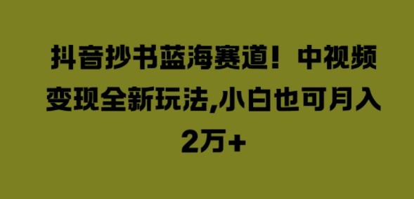 抖音抄书蓝海赛道，中视频变现全新玩法，小白也可月入2W+,抖音抄书蓝海赛道，中视频变现全新玩法，小白也可月入2W+,抖音,小白,第1张