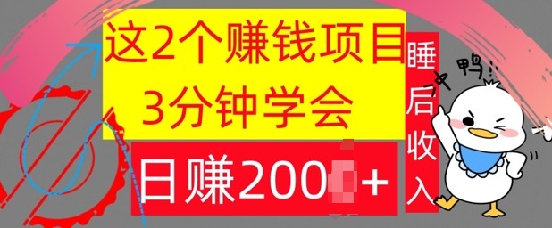 这2个项目，3分钟学会，日赚几张，懒人捡钱,这2个项目，3分钟学会，日赚几张，懒人捡钱,项目,视频,赚钱,第1张