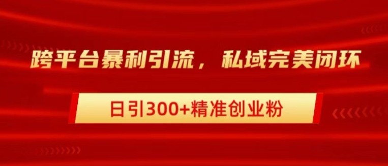 跨平台暴力引流，私域完美闭环，日引100+精准创业粉,跨平台暴力引流，私域完美闭环，日引100+精准创业粉,引流,创业,第1张