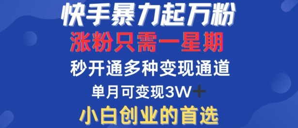 快手暴力起万粉，涨粉只需一星期，多种变现模式，直接秒开万合，单月变现过W【揭秘】,快手暴力起万粉，涨粉只需一星期，多种变现模式，直接秒开万合，单月变现过W【揭秘】,万粉,变现,直接,第1张