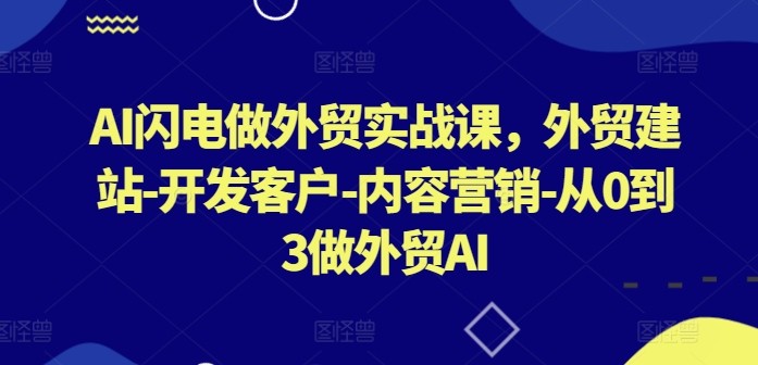 AI闪电做外贸实战课，外贸建站-开发客户-内容营销-从0到3做外贸AI（更新）