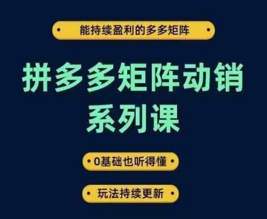 拼多多矩阵动销系列课，能持续盈利的多多矩阵，0基础也听得懂，玩法持续更新,拼多多矩阵动销系列课，能持续盈利的多多矩阵，0基础也听得懂，玩法持续更新,矩阵,玩法,第1张