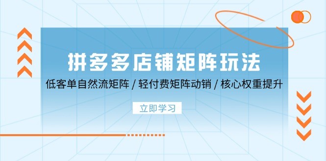 拼多多店铺矩阵玩法：低客单自然流矩阵 / 轻付费矩阵 动销 / 核心权重提升,图片[1]-拼多多店铺矩阵玩法：低客单自然流矩阵 / 轻付费矩阵 动销 / 核心权重提升-中创网_分享中创网创业资讯_最新网络项目资源,玩法,矩阵,付费,第1张