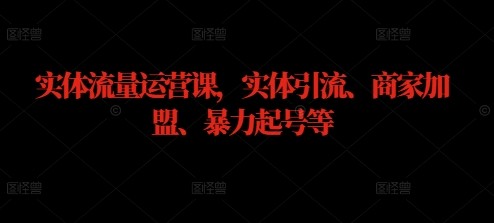 实体流量运营课，实体引流、商家加盟、暴力起号等,实体流量运营课，实体引流、商家加盟、暴力起号等,第二,暴力,第1张