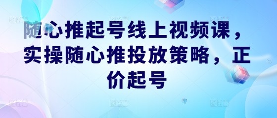 随心推起号线上视频课，实操随心推投放策略，正价起号,随心推起号线上视频课，实操随心推投放策略，正价起号,流量,自然,第1张