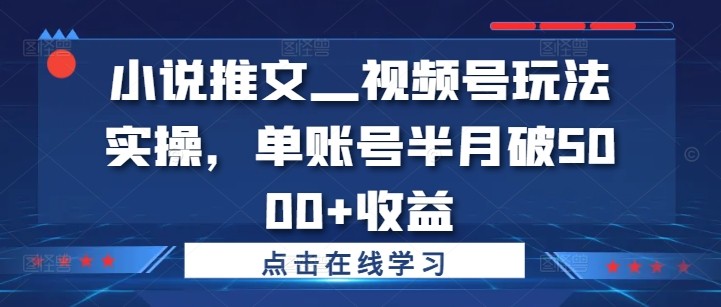 小说推文—视频号玩法实操，单账号半月破5000+收益,小说推文—视频号玩法实操，单账号半月破5000+收益,视频,账号,小说,第1张