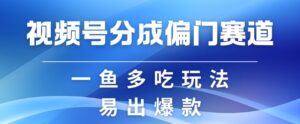 视频号创作者分成计划偏门类目，容易爆流，实拍内容简单易做【揭秘】,806768a0987eb7e35fded2a9243d3656_20241112211632474-1731417392-20241112131632-673355309e406-300x124.jpg,简单,视频,可以,第1张